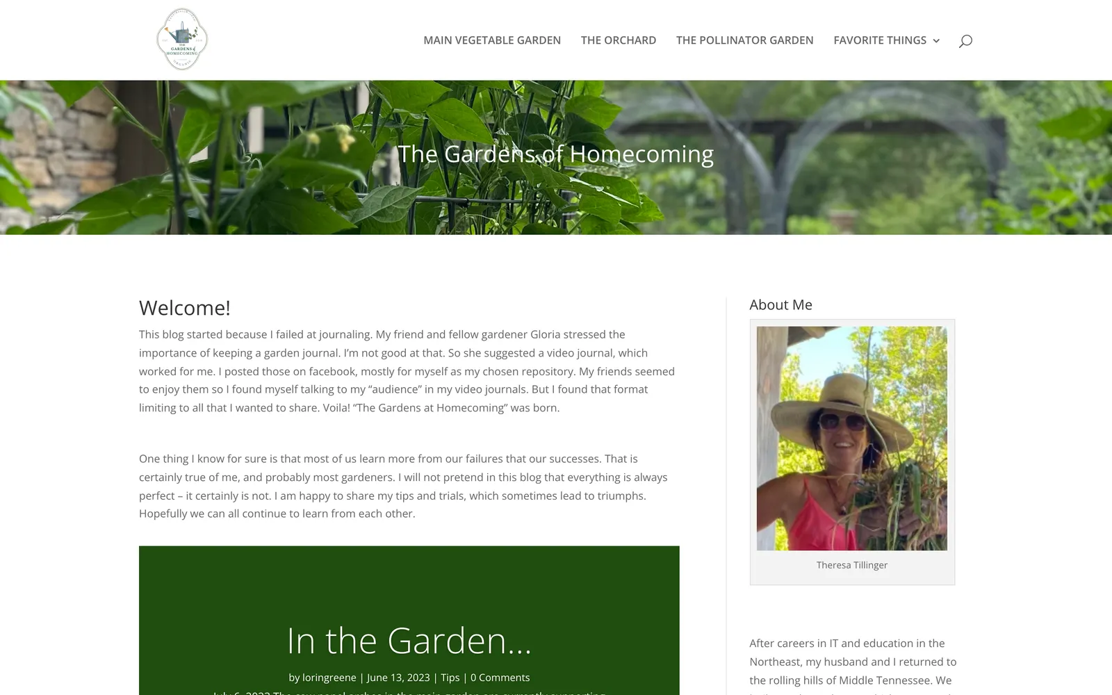 Before: a standard template with a centered banner and a blog column.