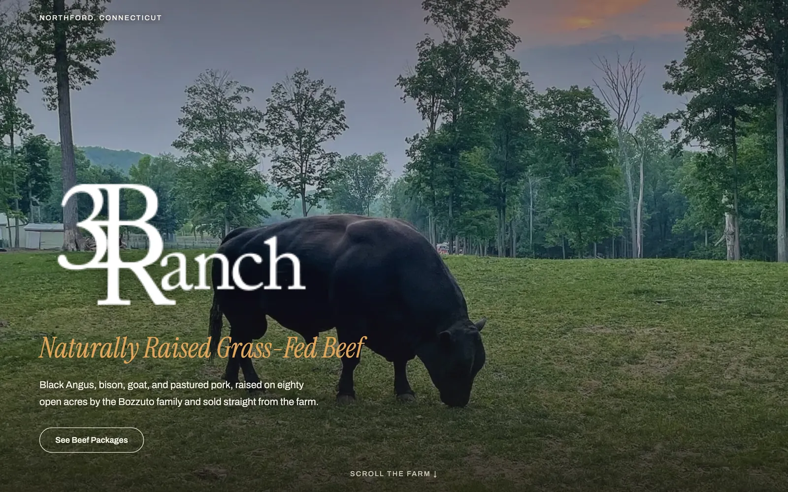After: a cinematic full-frame pasture hero with an elegant serif logo lockup.