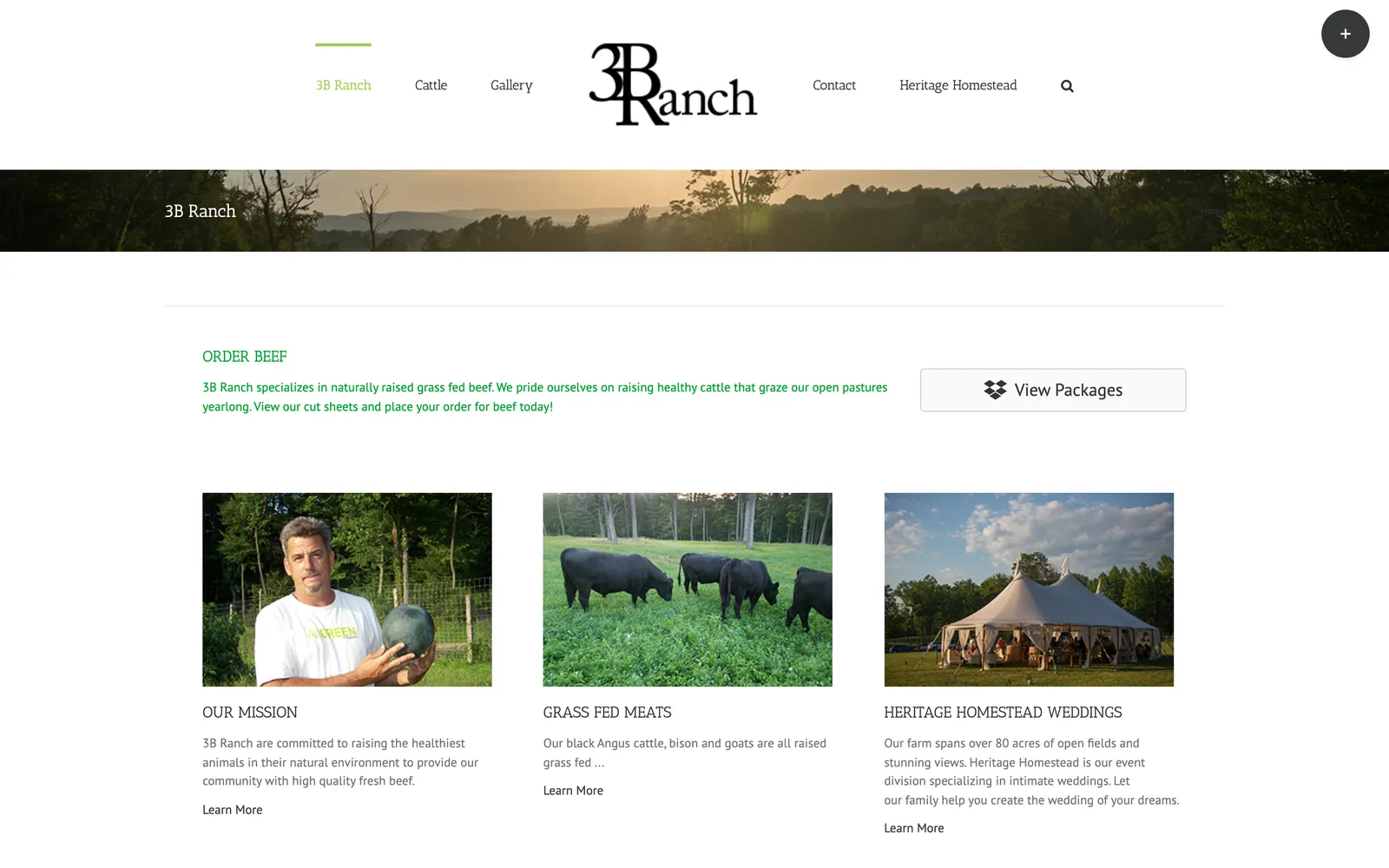 Before: an older template homepage with stacked rows and small type.
